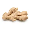 ORGANIC FRESH GINGER WITH BEST PRICE/ DRIED GINGER