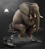 Multi- adjustable Indoor Small Weight Chair Gym Fitness Ab Sit Up Bench