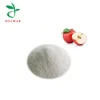 Best Flavor Apple Juice Powder, High Quality Spray Dried Instant Fruit Powder