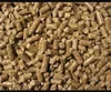 Eco Vietnamese Wood Pellet