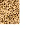 barley peanut candy,instant barley, green barley