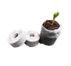 COCONUT COIR/ COIR SEED STARTING PELLETS/ PEAT PLANT JIFFY BEST PRICE