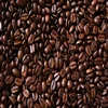 VIETNAM ROBUSTA COFFEE BEANS THE MOST COMPETITIVE PRICE