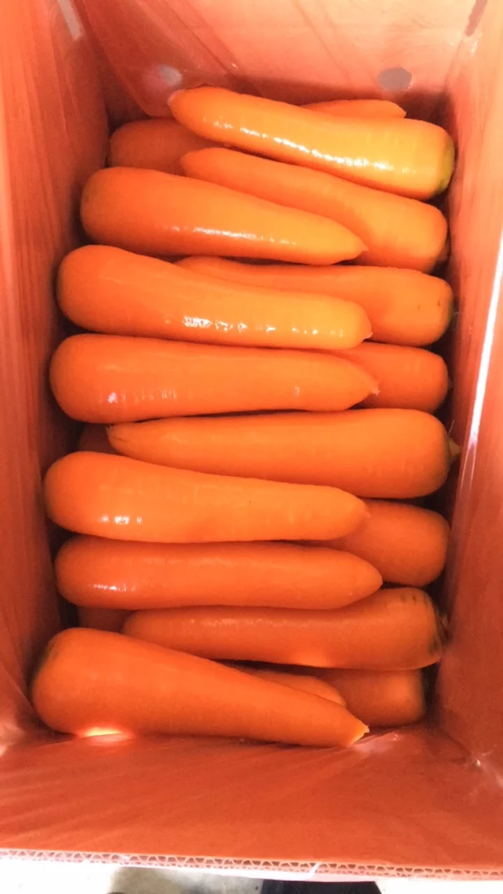 CARROT.jpg