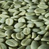 Robusta Green coffee beans in All Grades