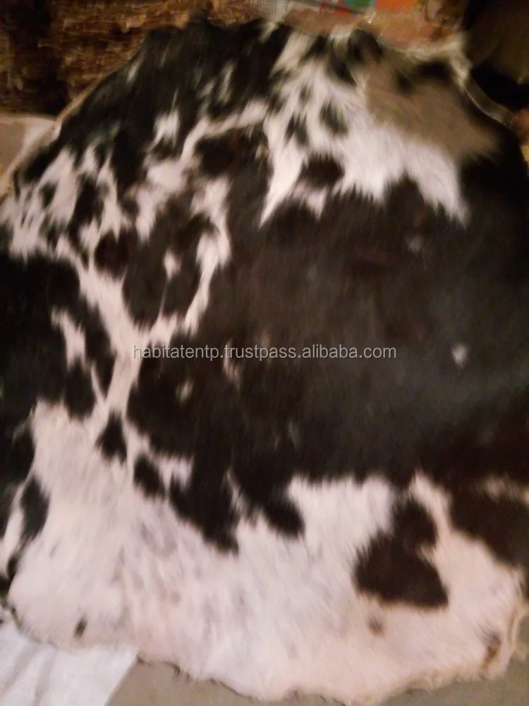 Wet Salted Cow Head Skin Total Fresh Drum Head Skins Buy Transparent