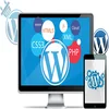 Attractive WordPress Web Design and Developer