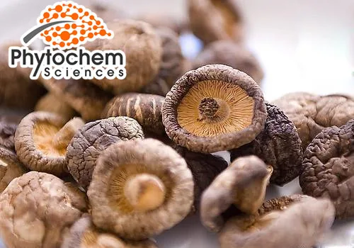 high quality solubility shiitake mushroom extract