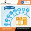 Top Leading Trusted CMS Website Design and Development Agency in USA