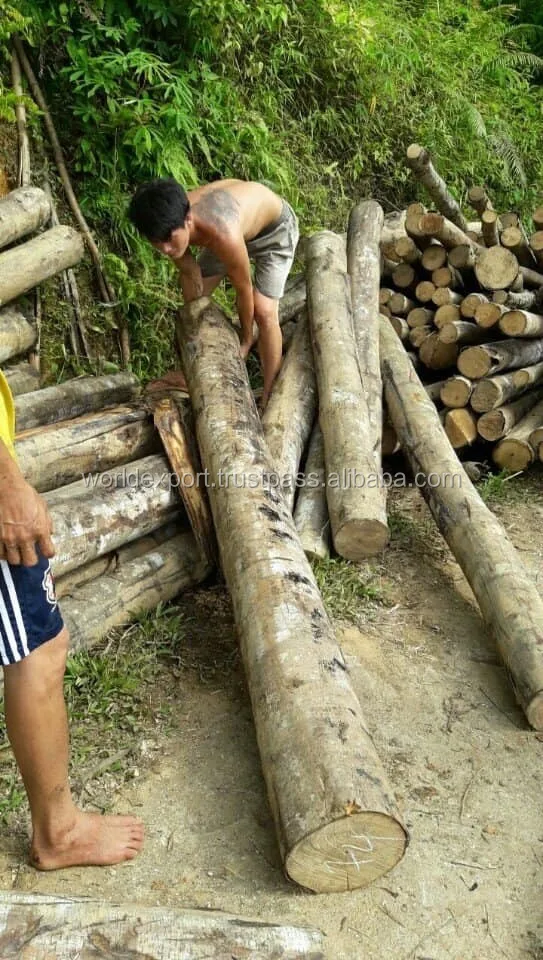 Rubber Wood Log Low Price Rubber Wood Buy Rubber,Teak Wood Log Price
