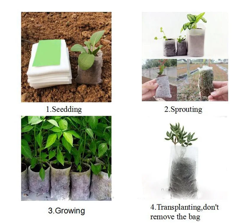 plant bag.jpg