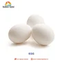 Order Farm Fresh White Chicken Eggs