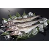 Japan Cod Fish Suppliers 600-800g Frozen Fish Alaska Pollock