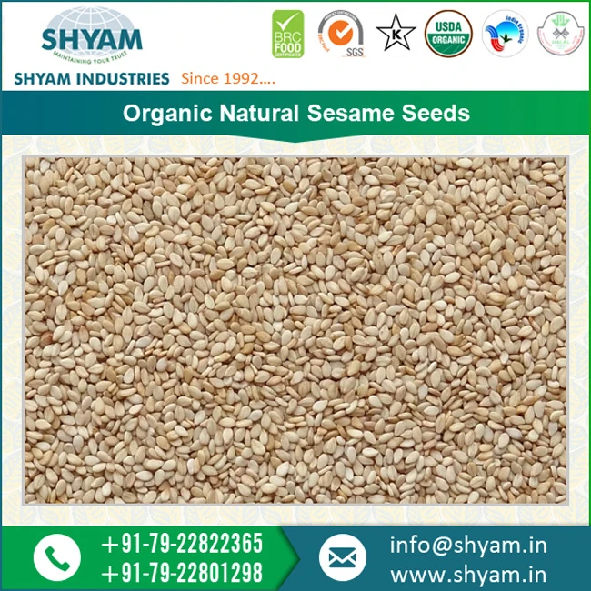 Good Quality Bulk Organic 99.50 Natural Sesame Seeds Supplier Buy