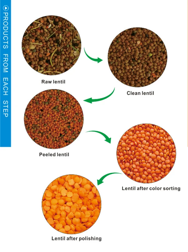 China supplier red split lentils processing machine