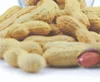Peanuts