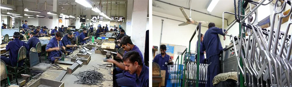 Ear Cropping Guide Clamps veterinary instruments Set of 5 Pieces