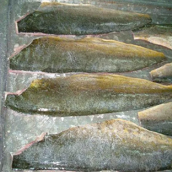 Best Seller Frozen Dolphin Mahi Mahi Fish For Making Fillet Buy