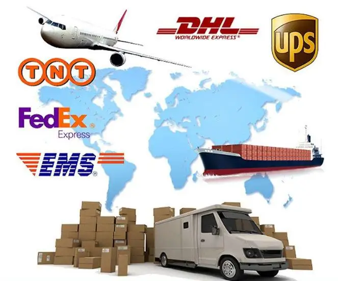 DHL017