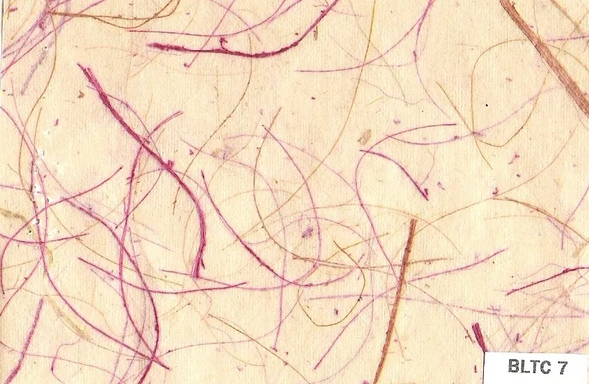 Water Hyacinth Handmade Papers For Art And Crafts,Scrapbooking And For