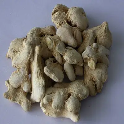 gung-kho-nguyen-cu.jpg
