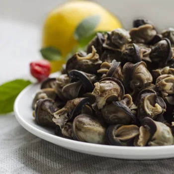 
Large Quantity Of Live Giant African Land Snails For Sale. 