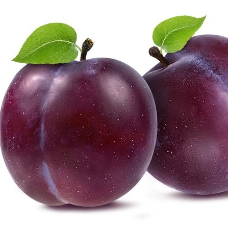 
dried plum,fresh plum 