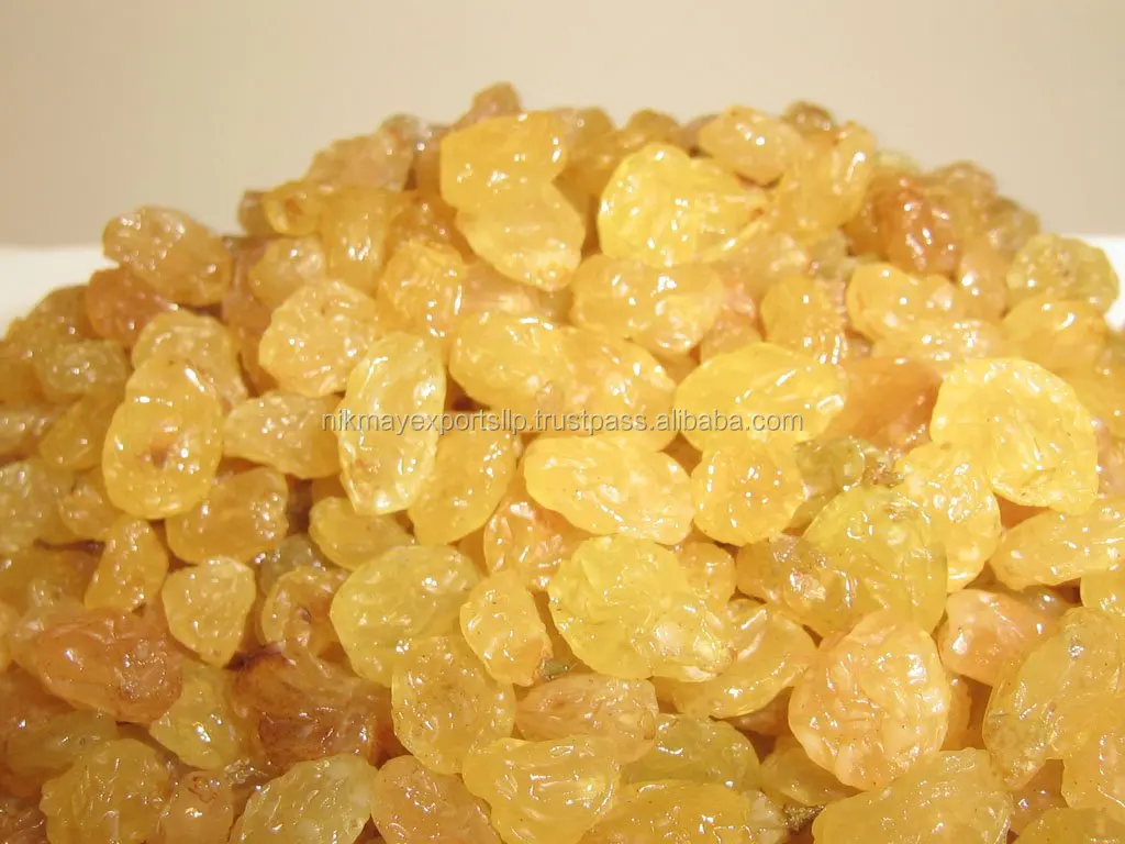 GOLDEN RAISINS ROUND