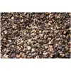 cashew shell waste/cashew nut shell for heating