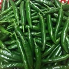 Green Fresh Chilli From Vietnam-Competitive Price/High Quality