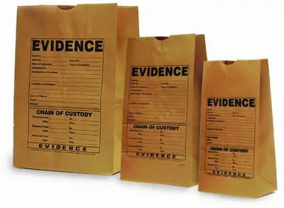 Paper Bag 22.jpg