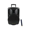 2018 Powerful sound! PT-1565A Speaker China Supplier 15 inch woofer with trolley plastic material