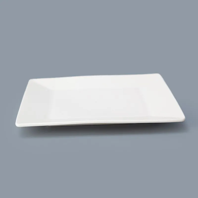 Two Eight dinnerplates for business for hotel-10