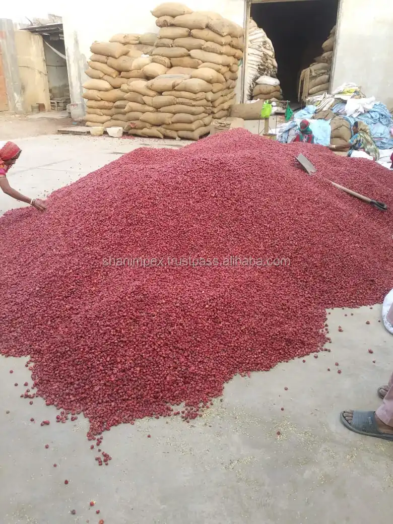 CHILI PROCESSED.jpeg