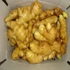 Good quality unspoiled plump clean yellow color Thai fresh ginger