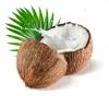 Desiccated Coconut High Fat - Low Fat- Flake Grade- Thread Grade