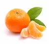 Orange Fresh Mandarin Fruit Kinow Fruits exporter , Pakistan Kinnow fresh Citrus Sargodha Mandarins, Mandarin Kinnow Exporters P