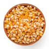 High Quality Indonesia Dried Yellow Corn / Maize Yellow Corn Animal Feed
