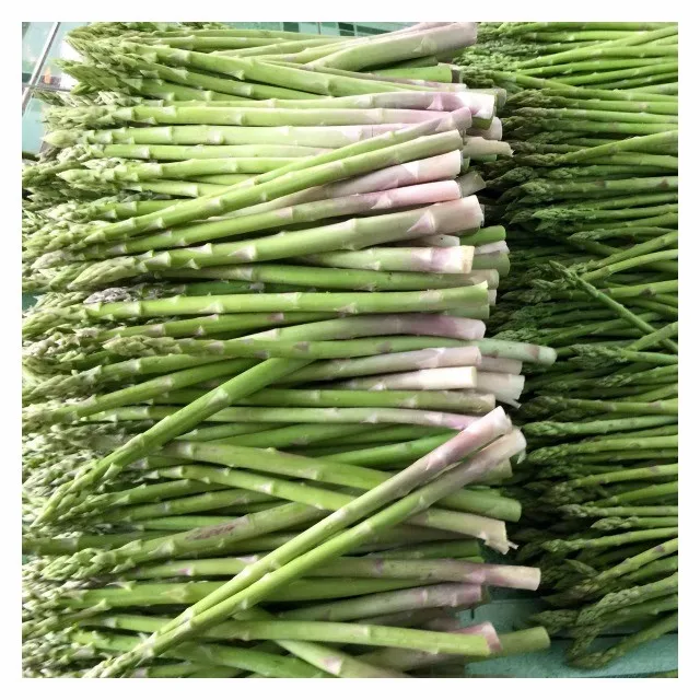 Organic Asparagus For Japanese Buyer 2017 Buy Fresh Asparagus,Green