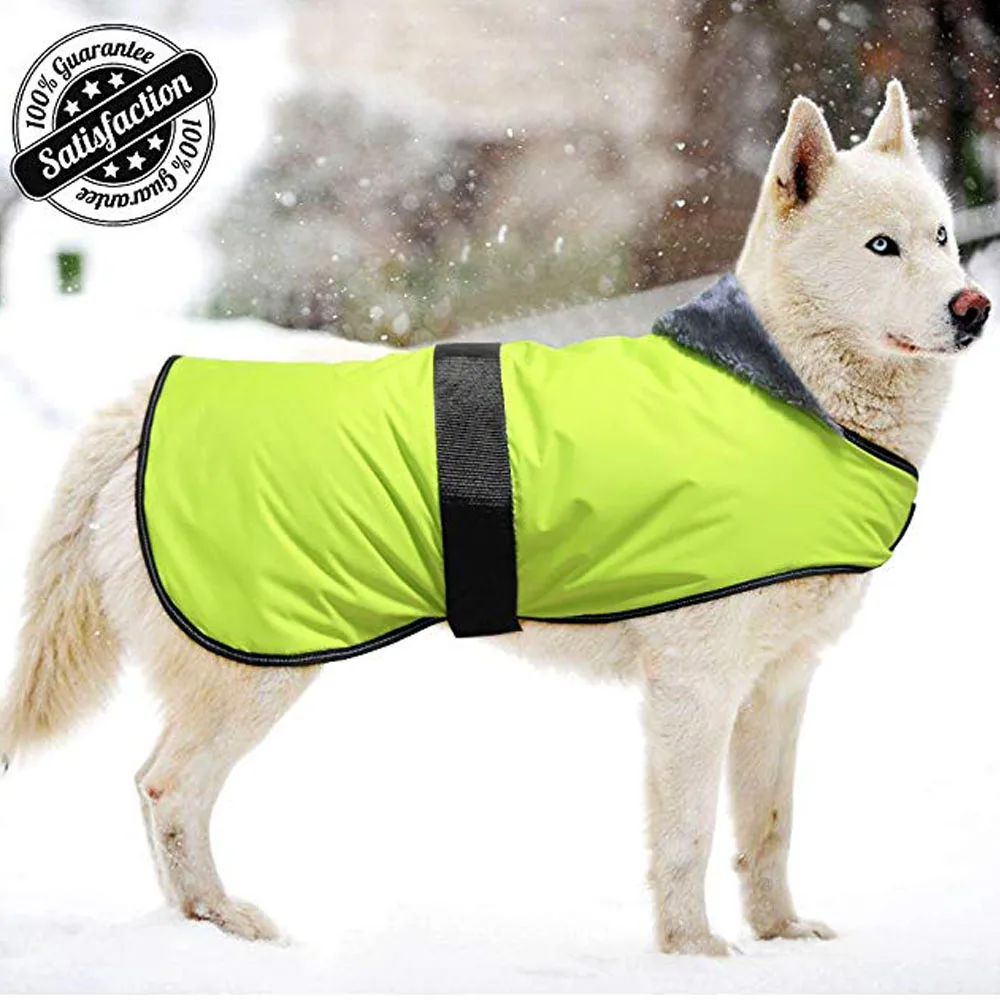 dog blanket coat