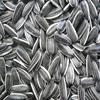 /product-detail/american-standard-quality-680-tons-sunflower-seeds-for-sale-50039181709.html