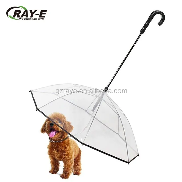 Собака зонт