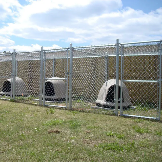 Multiple Kennels, 5-Run Shed Row Style cheap chain link multiple dog kennels.jpg