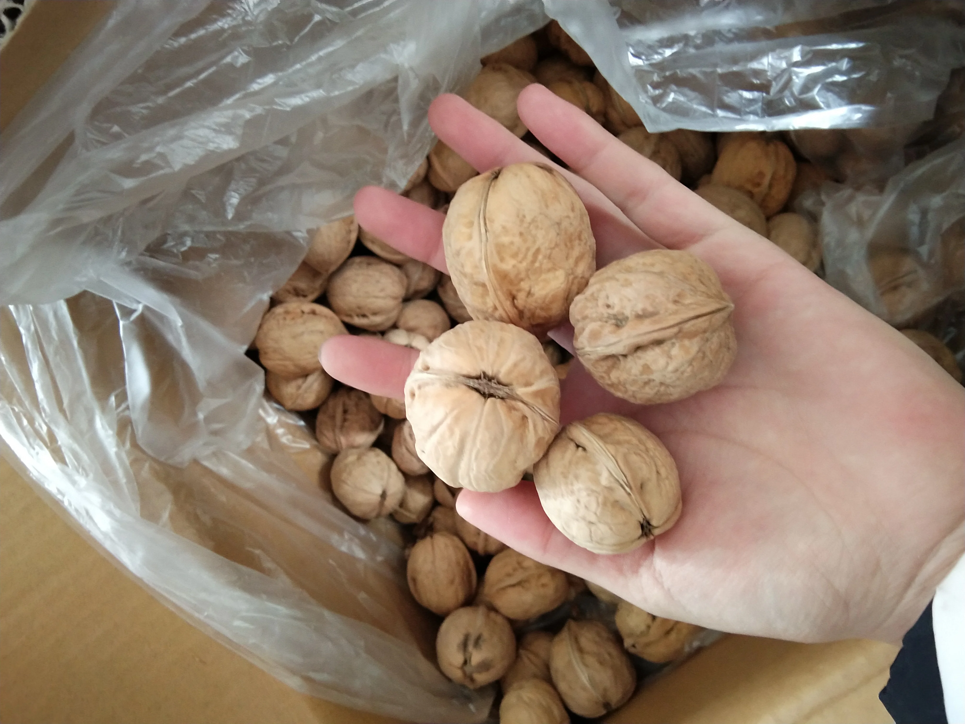 China Paper Inshelled The Walnut Inshell Wholesale Raw Meat Exporter