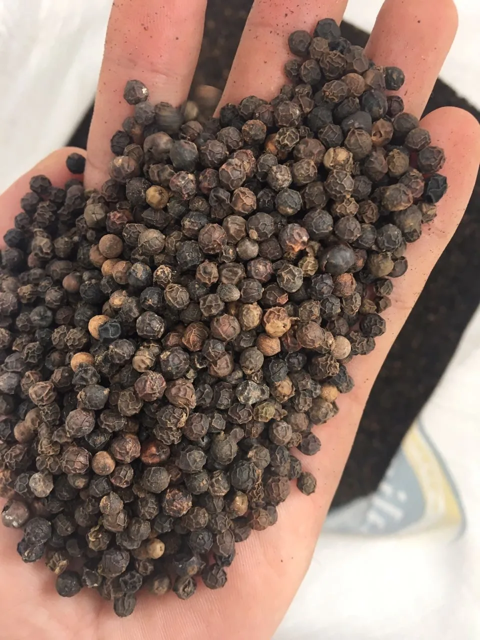 5mm black pepper 1