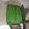 Fresh Indian Vegetables - Drumstick (Moringa oleifera)