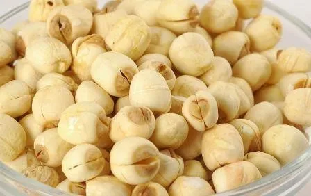 hotsale dried white lotus seed/ healthy lotus seeds