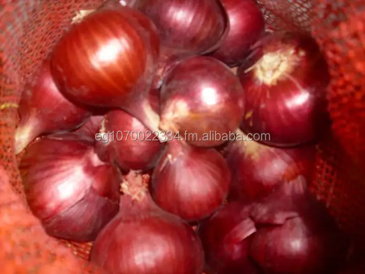 Fresh Red onion 1