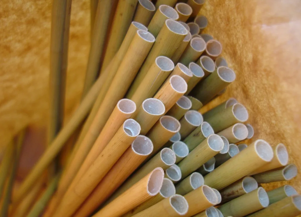 Eco-friendly grass straws, straws made from natural grass