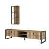 Fantastic Modern Wall Unit Designs Iron Tv Unit